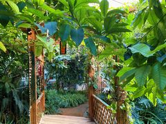 -呀路古热带植物园