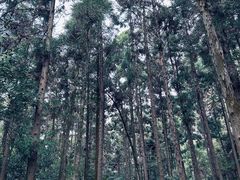 -狼山风景名胜区