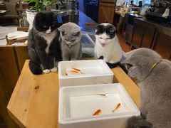 -么么咖啡(燕郊店)