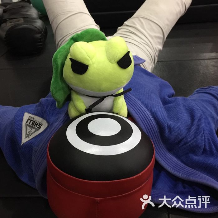 巴西柔术图片-北京武术场馆-大众点评网