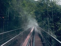 -宁波五龙潭景区