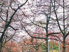 -烈士陵园(地铁站)