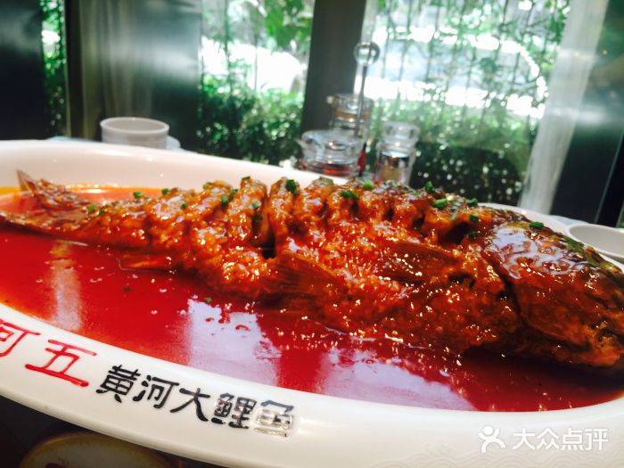 路店)-红烧黄河大鲤鱼-菜-红烧黄河大鲤鱼图片-郑州美食-大众点评网