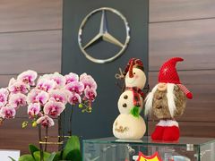 -天津波士信达奔驰4S店(卫津南路店)