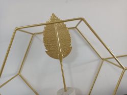 -凡碧诗毛孔收细