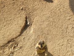 -泉州海丝野生动物世界