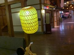 -嘉佑温泉水世界