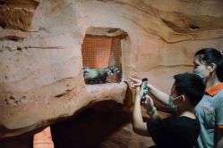 -酷嗒动物文化乐园(cutezoo西溪乐天城店)