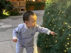 -深圳湾万象城(南山店)