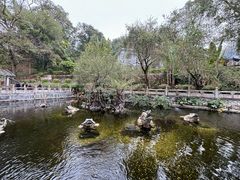 -国恩寺