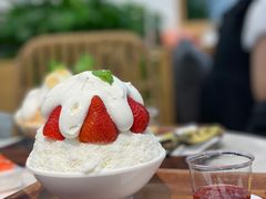 夏珊瑚-丹礼糖甜品