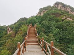 -大岭沟猕猴桃谷风景区