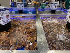 -盒马X会员店(上海森兰商都店)