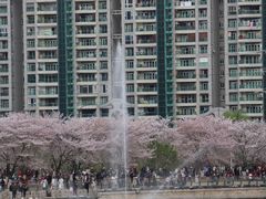 -西北湖绿化广场