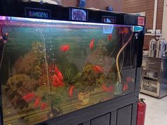 -东四民芳餐厅(世茂工三店)