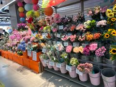 -盒马鲜生(莱蒙都会店)