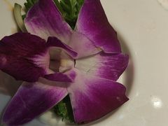 -万物生江北老火锅(海骏达店)