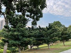 -重庆中央公园(渝北区)