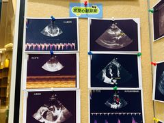 -东莞宠友24H宠物中心医院·转诊夜诊·异宠(新河北路院)