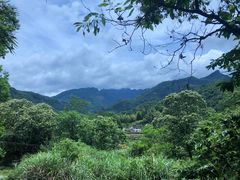 -祁门牯牛降观音堂风景区