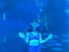 -北戴河圣蓝海洋公园