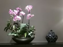 -狮王府淮扬菜(老门东店)