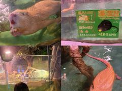 -正佳雨林生态植物园