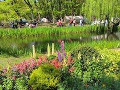 -上海共青森林公园