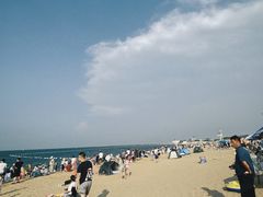 -潍坊欢乐海沙滩景区