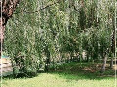 -长白岛森林公园