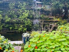 -凤来栖·净庭院·火锅(欧尚店)