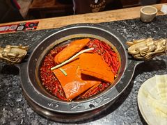 -蜀大侠火锅(总府路店)