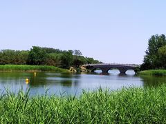 -大兴滨河森林公园