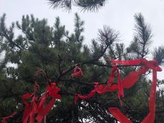 -塔云山
