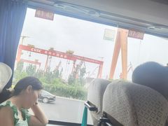 -胶州湾海底隧道