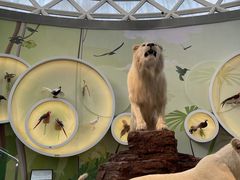 -陕西自然博物馆