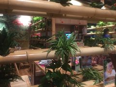 -椰夫人·养生椰子鸡(金沙洲永旺店)