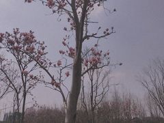 -府河摄影公园
