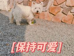 -阿哈湖国家湿地公园