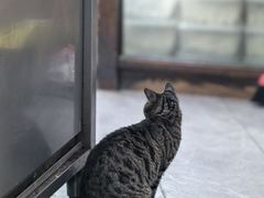 -杭嘉湖咬强羊肉面馆(永兴路总店)