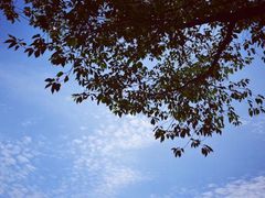 -南京航空航天大学(明故宫校区)