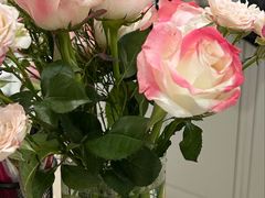 -MCJ-花店(西罗园店)