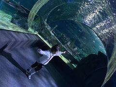 -暹罗海洋世界