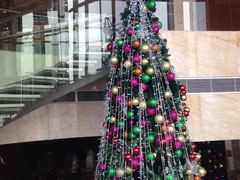 -视界美食自助餐厅·石家庄希尔顿酒店