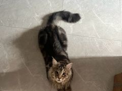 -家乐福(古北店)