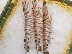 -蚝老板海鲜烧烤大排档(码头店)
