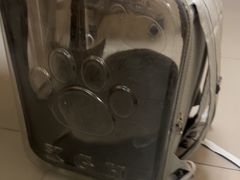 -瑞派宠物医院·24h·骨外科·皮肤科·全科宠物医疗转诊中心(沈阳浑南院)