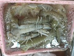 -都斛海鲜街