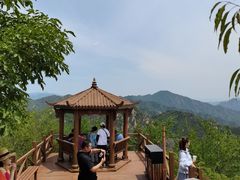 -大岭沟猕猴桃谷风景区