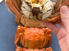 -阳澄湖大闸蟹·琼灵阁牌品牌连锁(吴中总店)